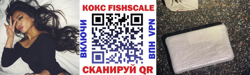 Купить где  Елабуга  Кокаин FishScale 