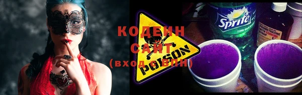 дмт Елизово