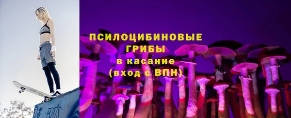 мдма Ельня