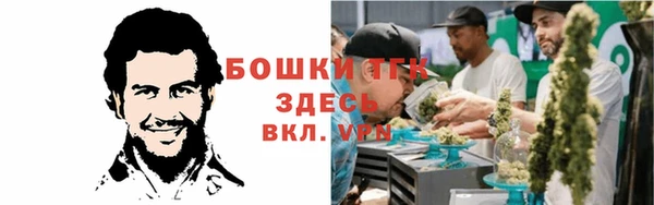 винт Елабуга