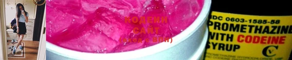 дмт Елизово
