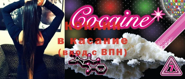 дмт Елизово