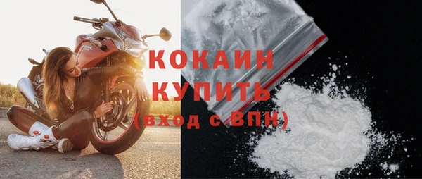 дмт Елизово