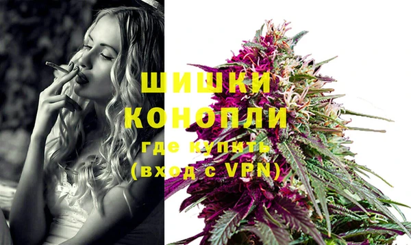 винт Елабуга