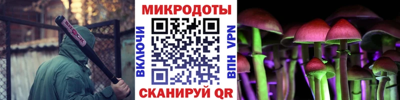 Купить закладки  Елабуга  Галлюциногенные грибы GOLDEN TEACHER 