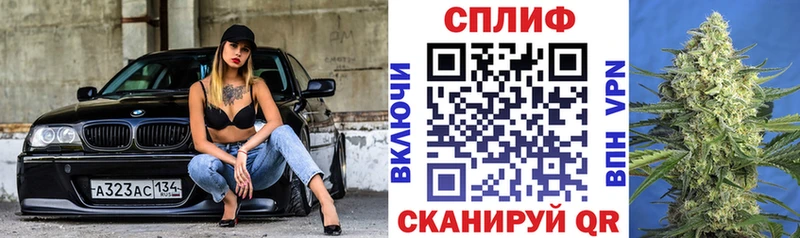 Купить  Елабуга  Бошки марихуана ГИДРОПОН 